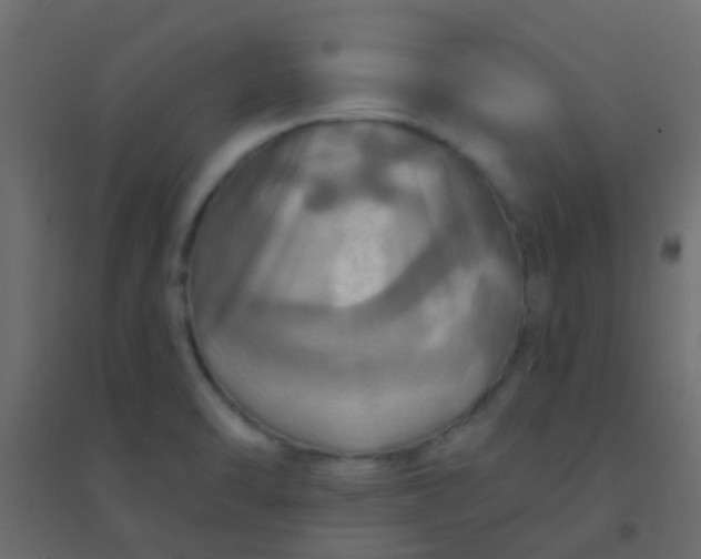X0000094901470200712131420