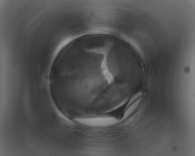 X0000094901471200712131420