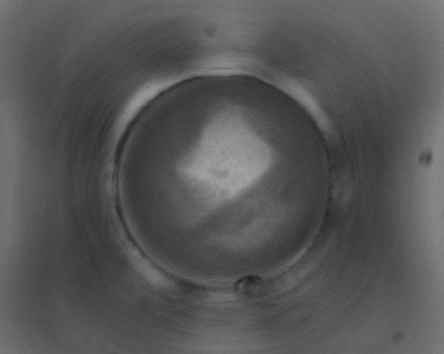 X0000094901472200712131420