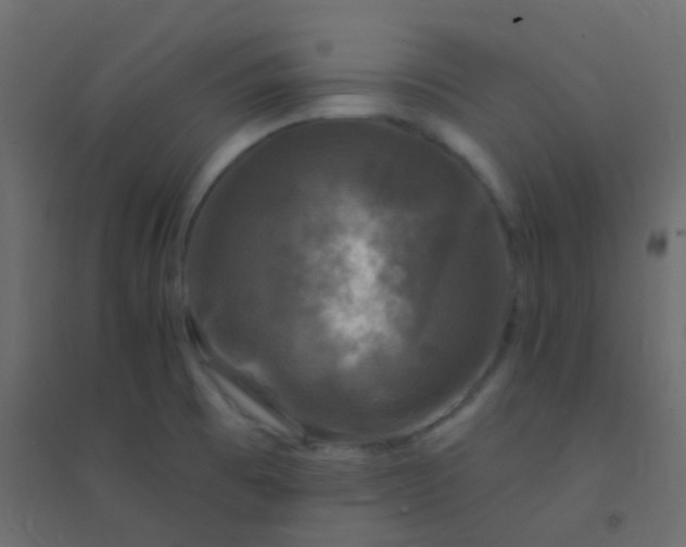 X0000094901473200712131420