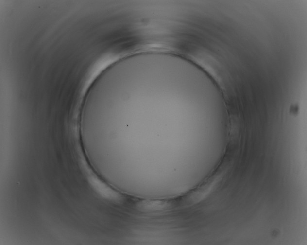 X0000094901474200712131420