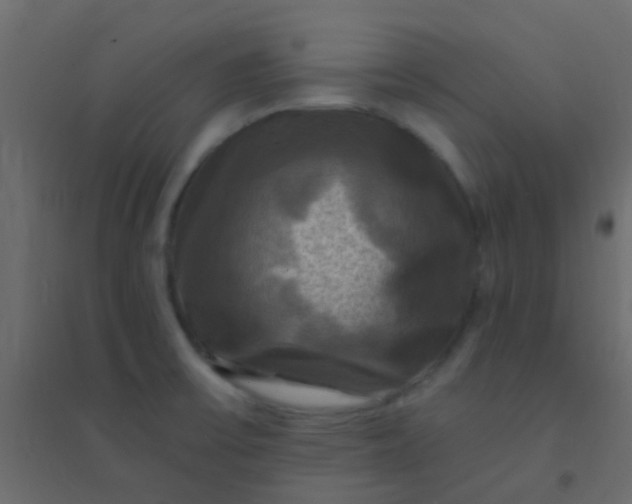 X0000094901475200712131420