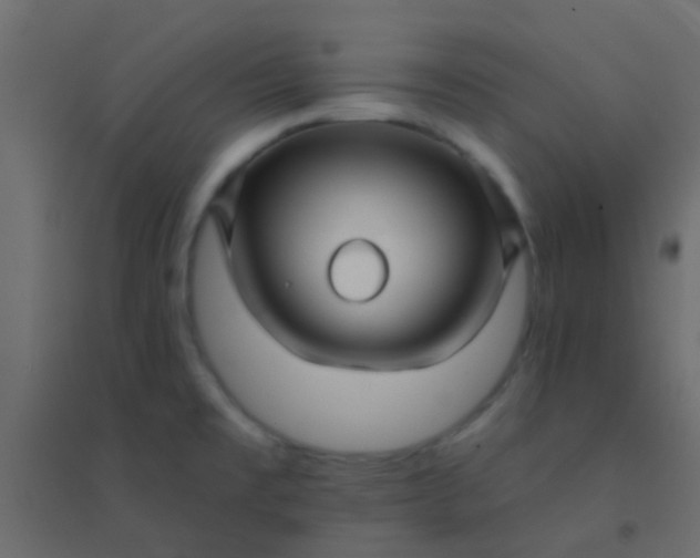 X0000094901477200712131420