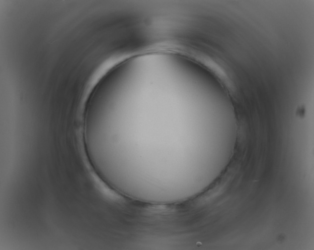X0000094901478200712131420