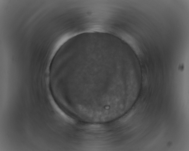 X0000094901479200712131420