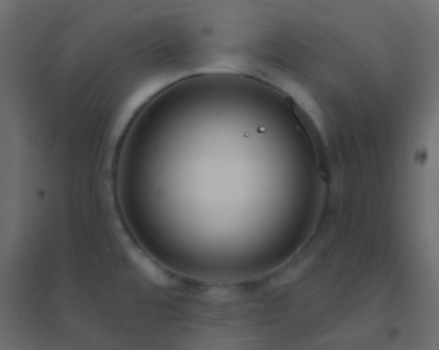 X0000094901480200712131420