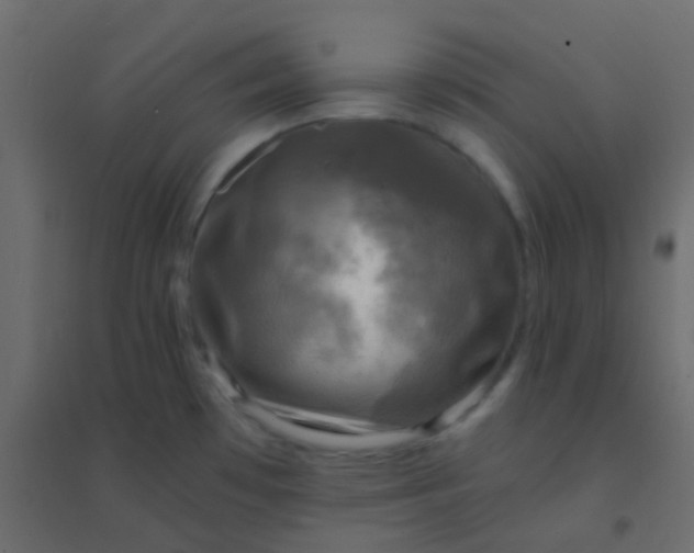 X0000094901481200712131419