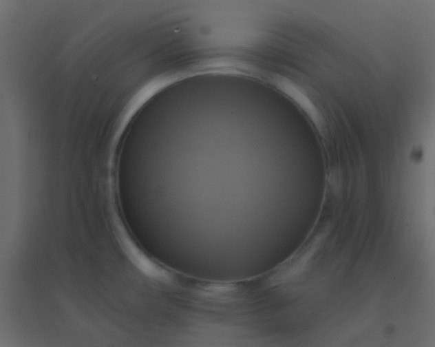 X0000094901482200712131419