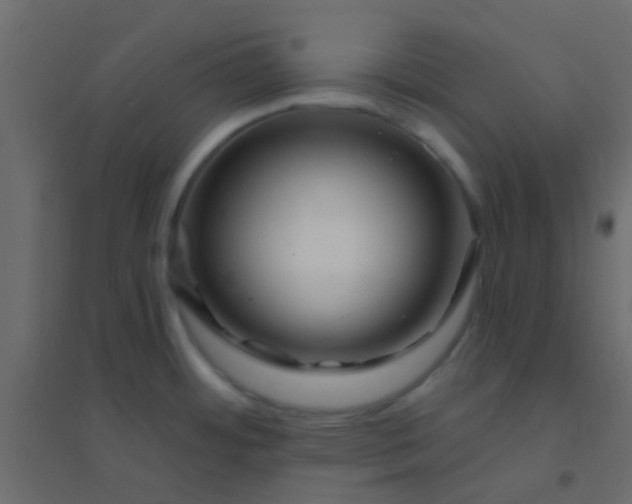 X0000094901484200712131419