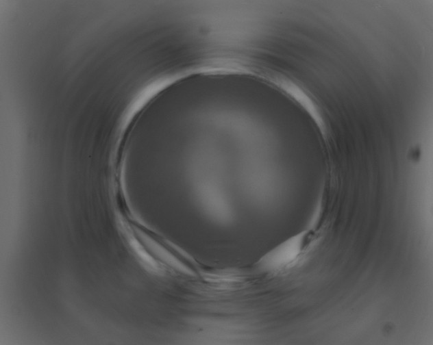 X0000094901485200712131419