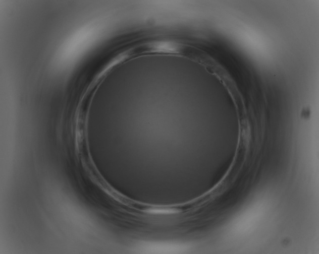 X0000094901487200712131419