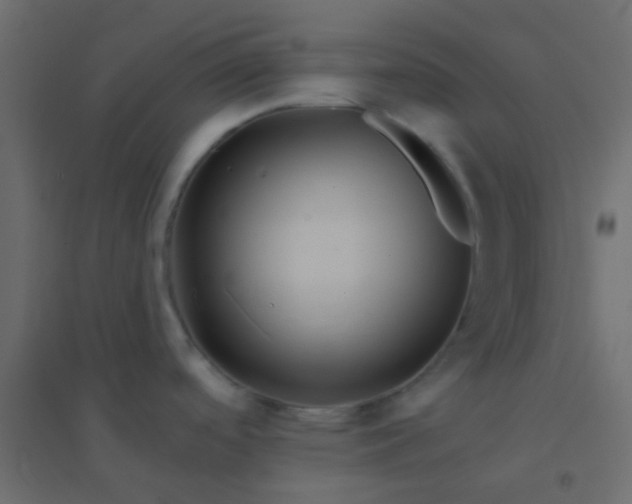 X0000094901488200712131419