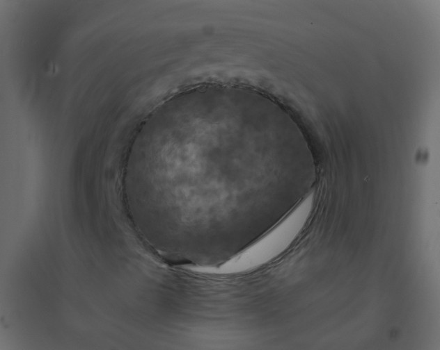 X0000094901489200712131419