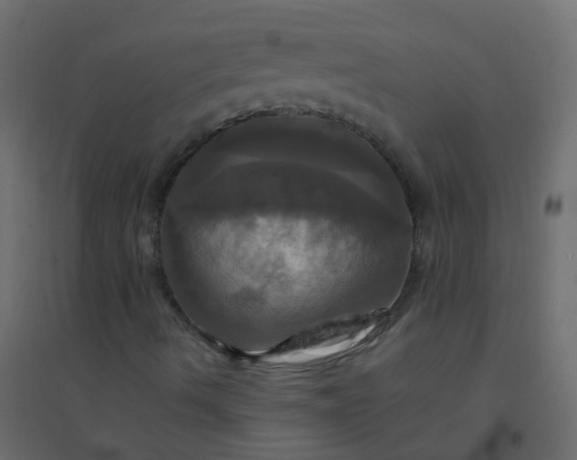 X0000094901490200712131419