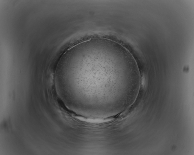 X0000094901492200712131419