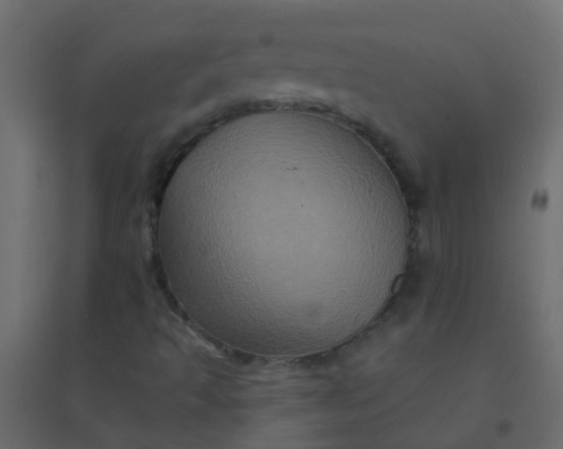 X0000094901493200712131419