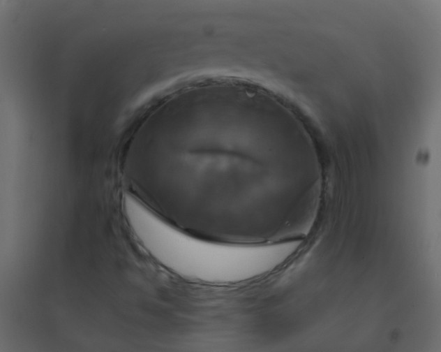 X0000094901494200712131419