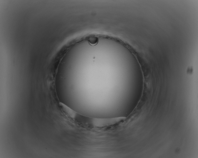 X0000094901495200712131419