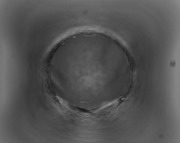 X0000094901496200712131419