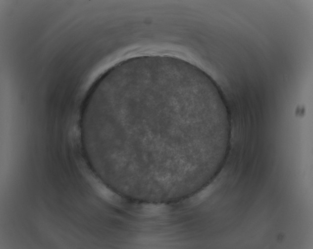 X0000094901498200712131419