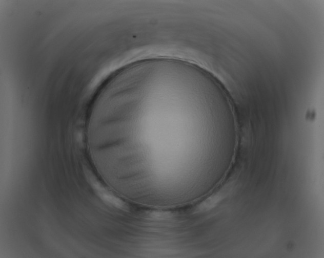 X0000094901499200712131419