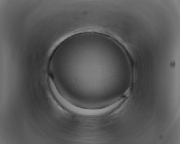 X0000094901500200712131419