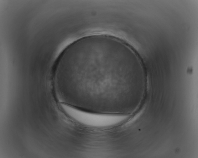 X0000094901501200712131419
