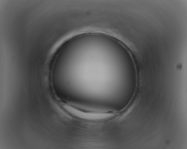 X0000094901502200712131419