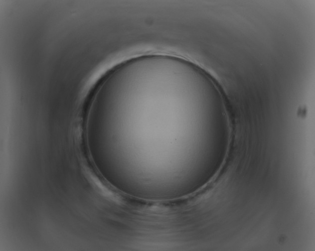 X0000094901503200712131419