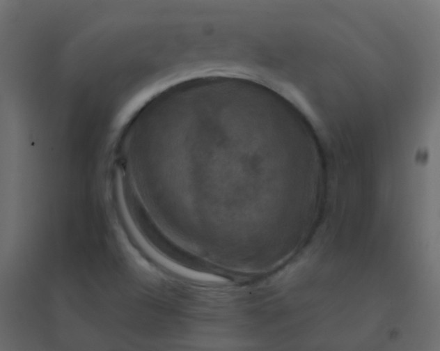 X0000094901504200712131419