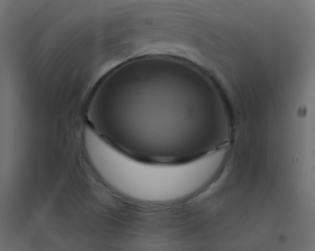 X0000094901505200712131419
