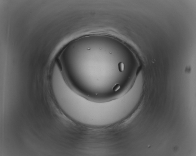 X0000094901506200712131419