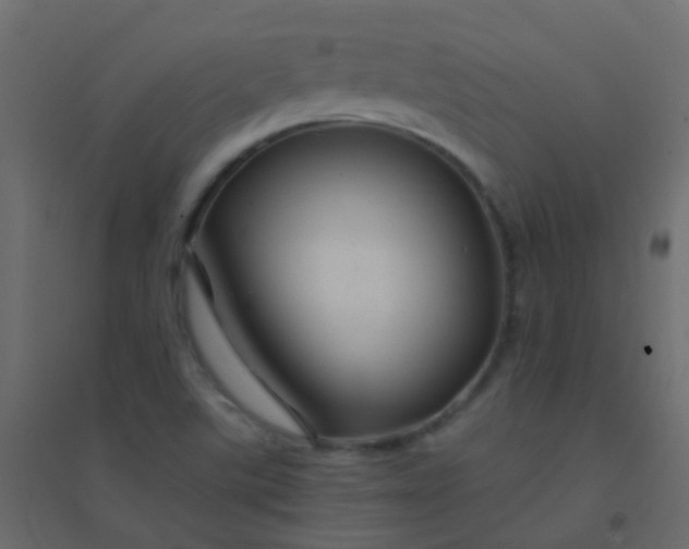 X0000094901507200712131419