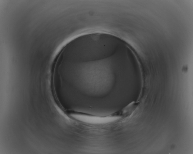 X0000094901508200712131419