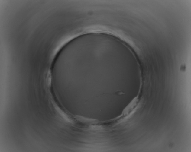 X0000094901509200712131419