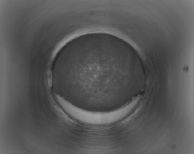 X0000094901510200712131419