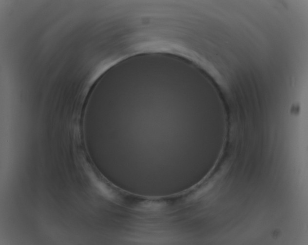 X0000094901513200712131419