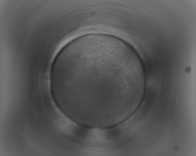 X0000094901514200712131419
