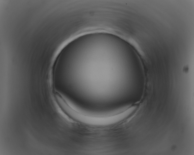 X0000094901516200712131419