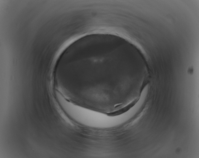 X0000094901517200712131419