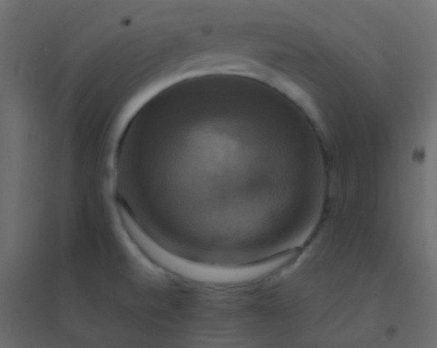 X0000094901520200712131419