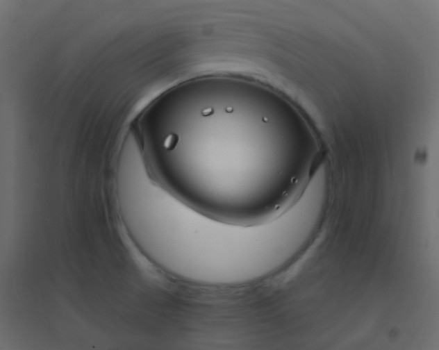 X0000094901521200712131419