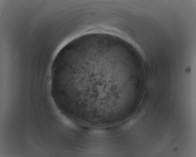 X0000094901522200712131419