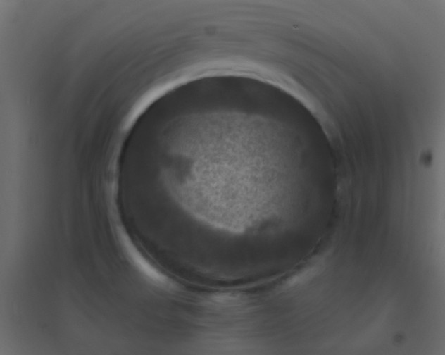 X0000094901523200712131419