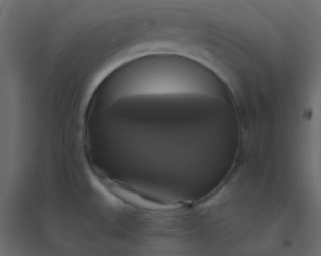X0000094901527200712131419