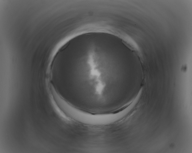X0000094901528200712131419