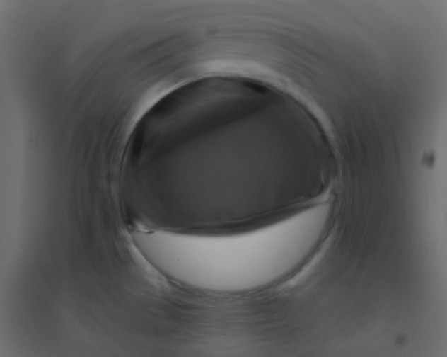 X0000094901529200712131419