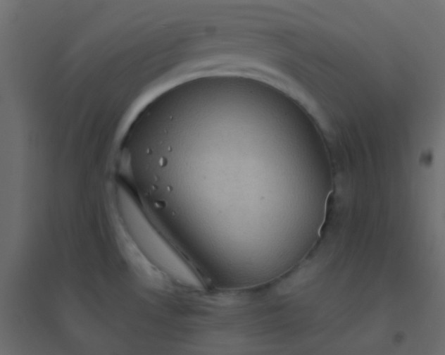 X0000094901530200712131419