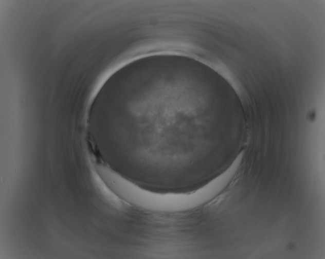 X0000094901532200712131419