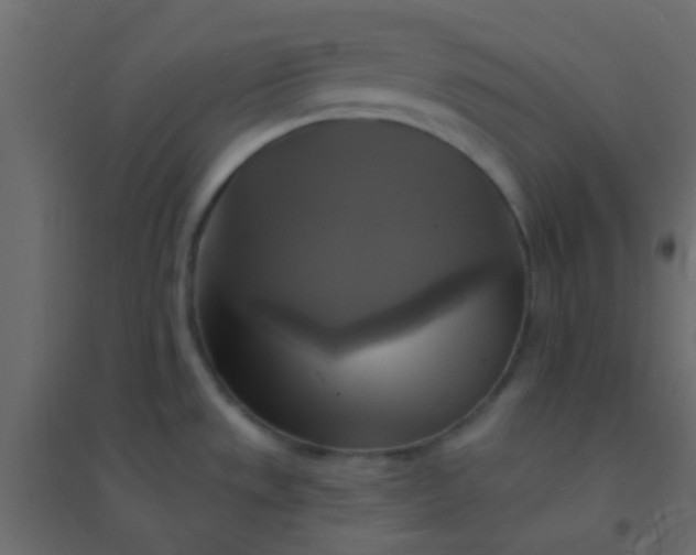 X0000094901533200712131419